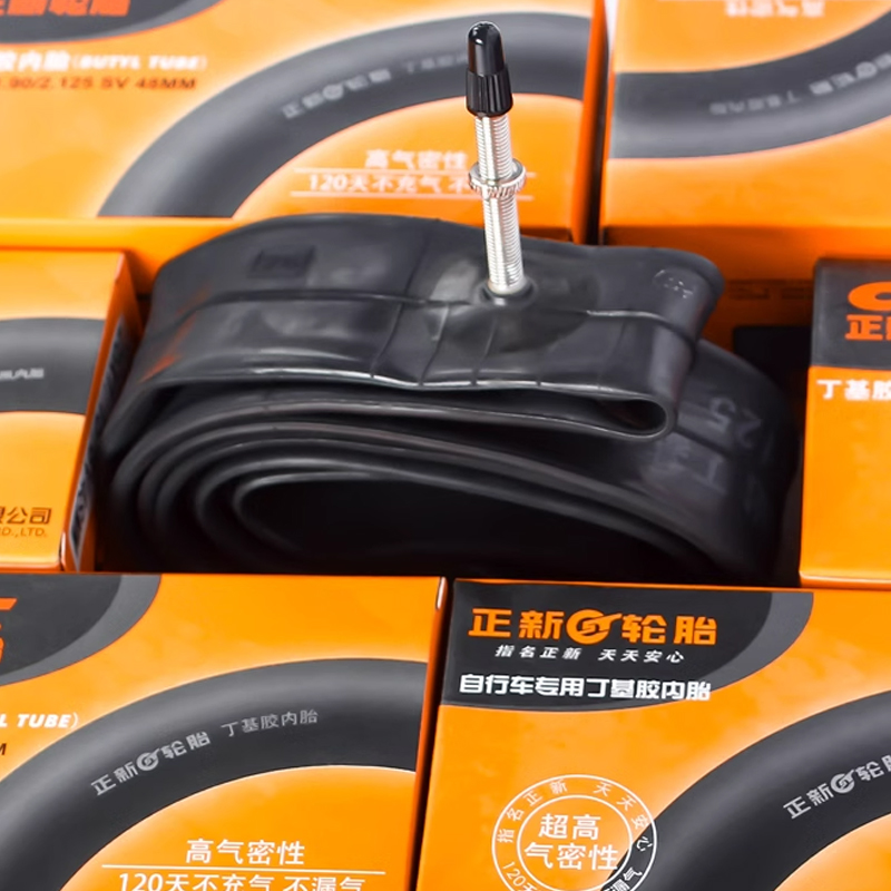 CST 20 inches bicycle Inner 20 - đánh giá và giá Mountain Biking Tube
